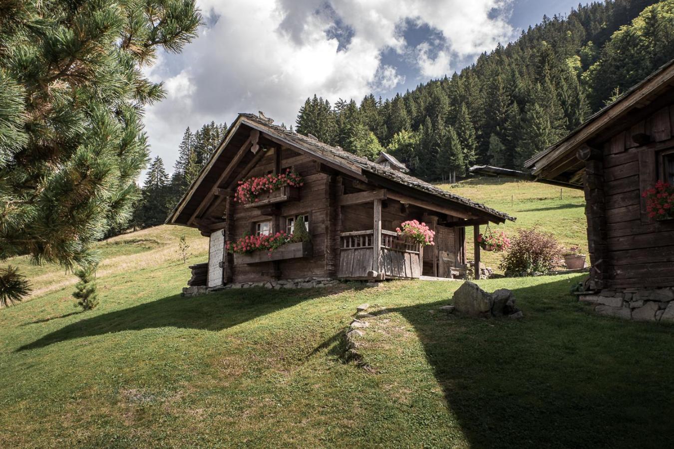 Hotel La Ferme des Vonezins Thônes Exterior foto